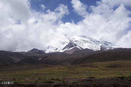 Reserva de Producción Faunística Chimborazo