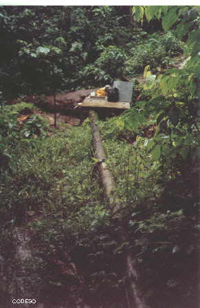 Water Collection of the Pachakutik CommunityProvince of Sucumbíos - Ecuador