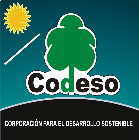 CODESO Homepage