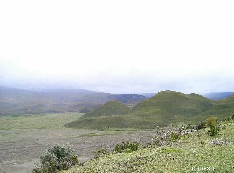 Cotopaxi - Parque Nacional - National Park 