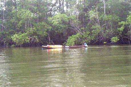 Fishermen in the mangroves of Esmeraldas