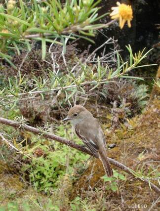 Galapagos Islands