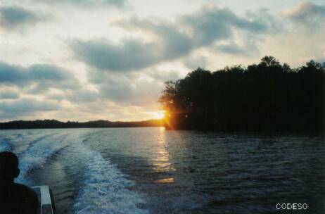 Fotos: Manglares - Mangrove - MangleMuisne - Ecuador