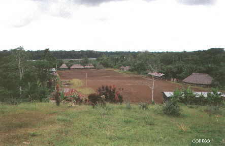 Blick auf die Kapawi-Gemeinde Pastaza Sudamerika